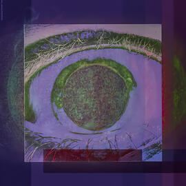 Do You Really Wanna Know 12" Single (2022)