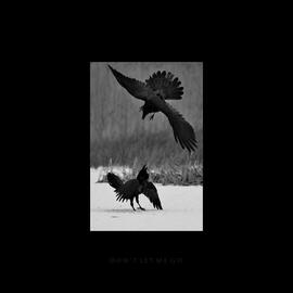 Don't Let Me Go 7" Single