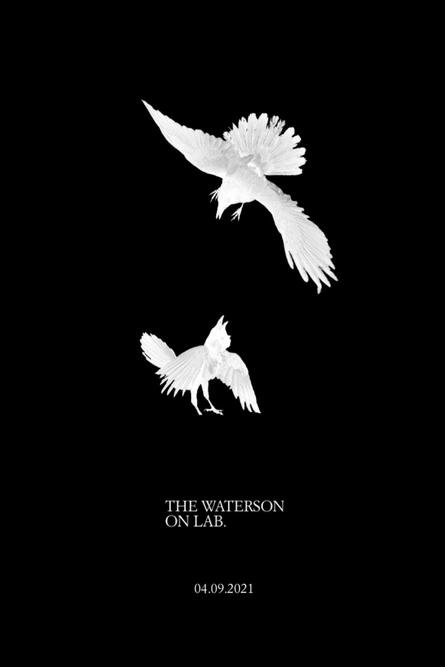 The Waterson On Lab.